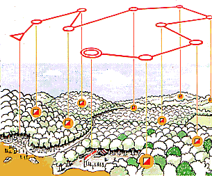 Eine OL-Bahn